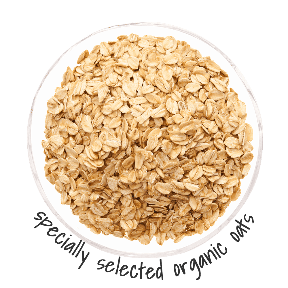 specially selected organic oats for dogs are excellent health boosters
