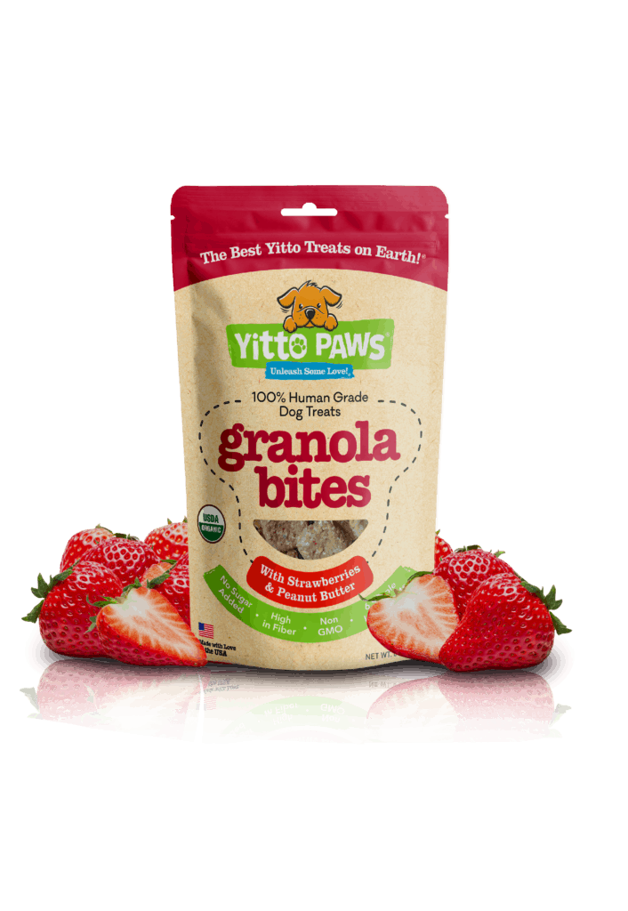 Yitto Paws Strawberry Granola Bites with strawberries surrounding it