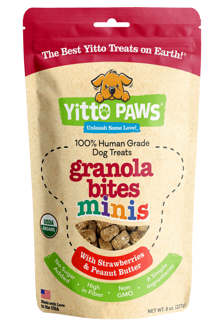 Strawberry Granola Bites MINIs Organic Human Grade Dog Treats