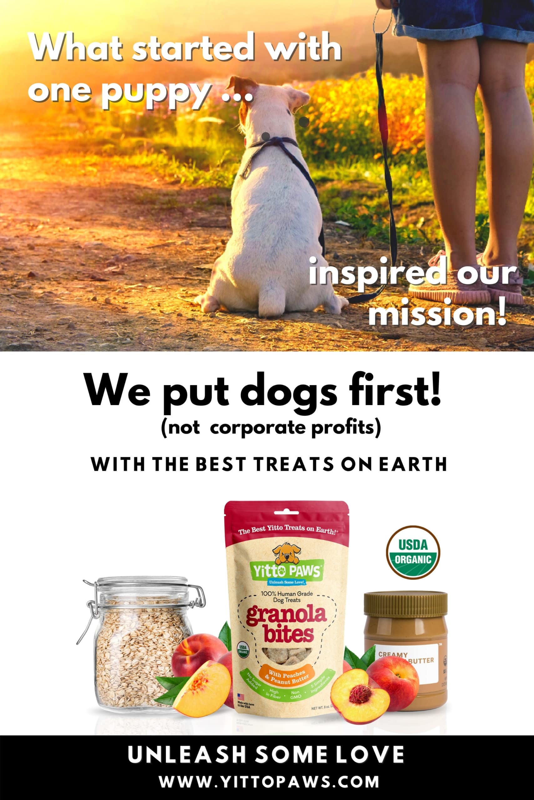 Putting Dogs First means prioritizing the health and happiness of our dogs over corporate profits.