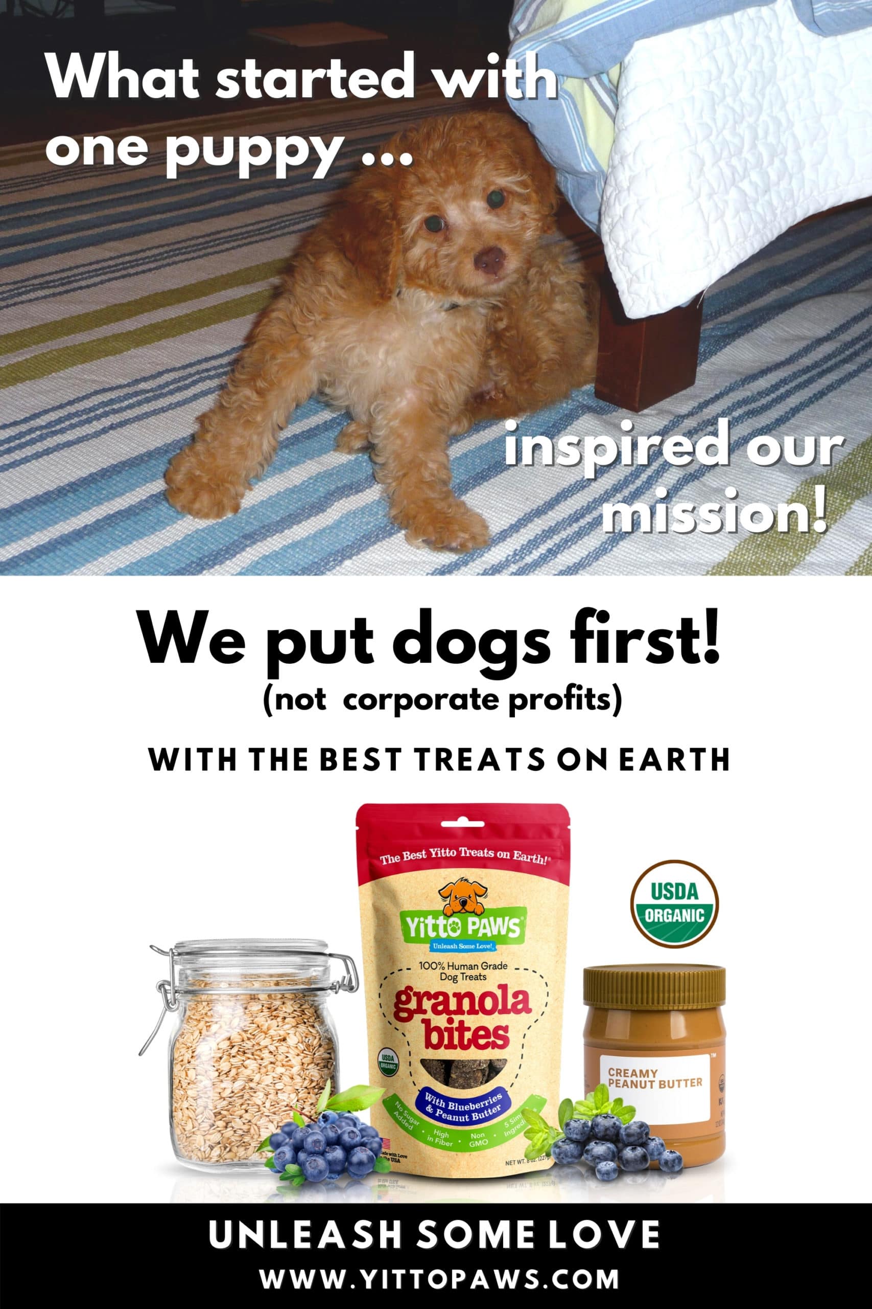 The Yitto Paws Story ... What started with one puppy turned into our mission to make our organic dog food recipes available to dogs everywhere!