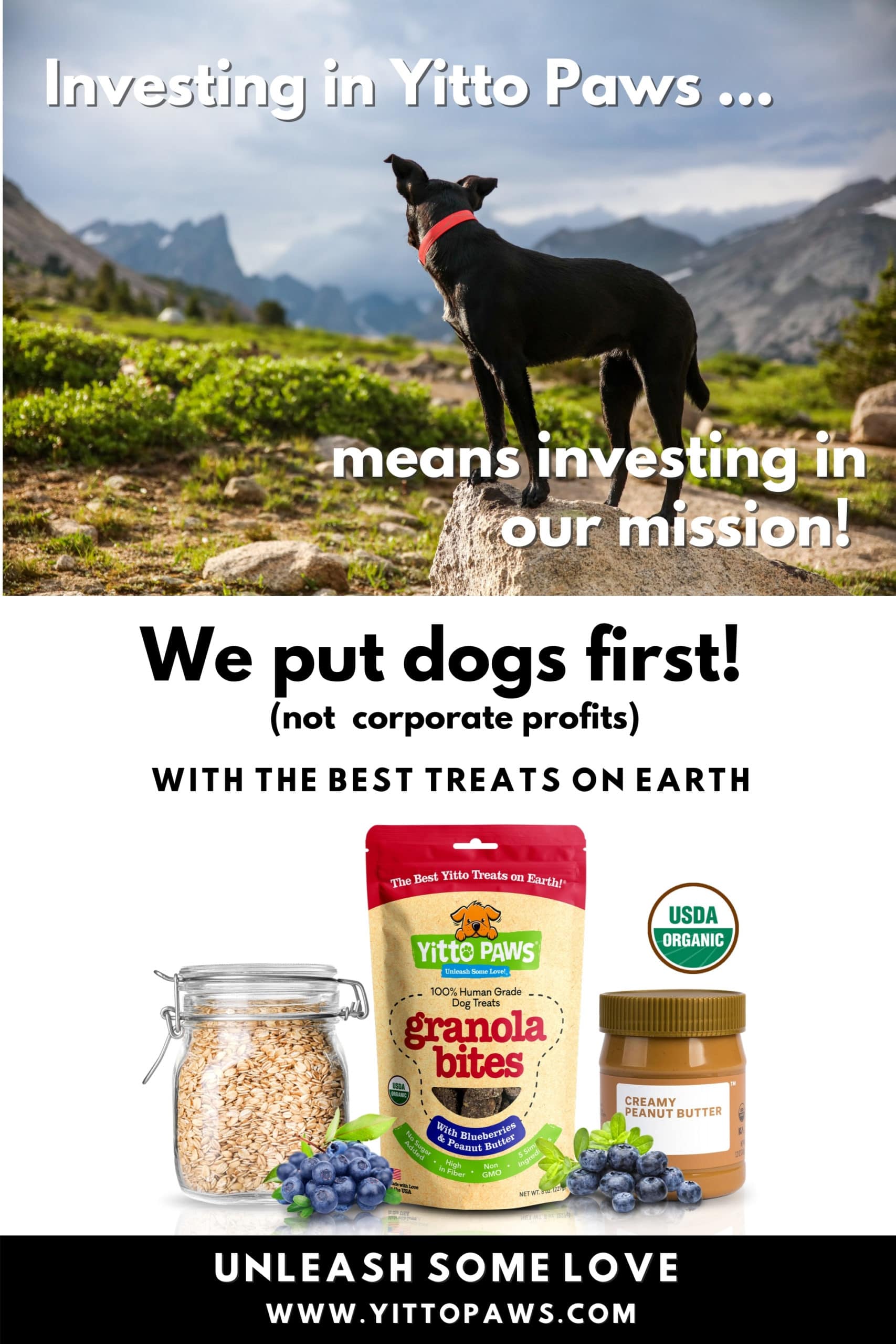 Investing in Yitto Paws mean investing in our mission to put dogs first!
