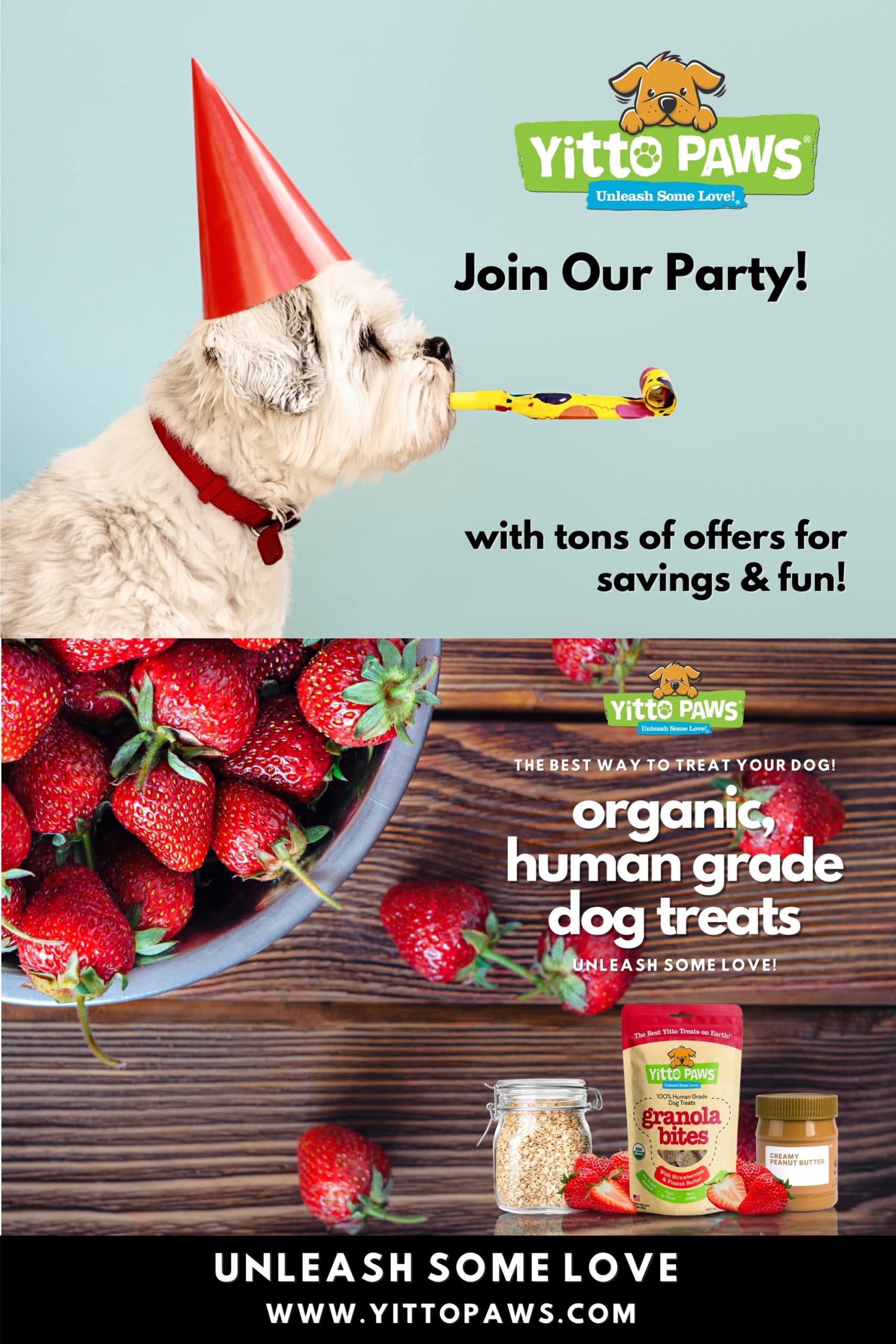 Join our party that's filled with tons of offers for savings & fun!