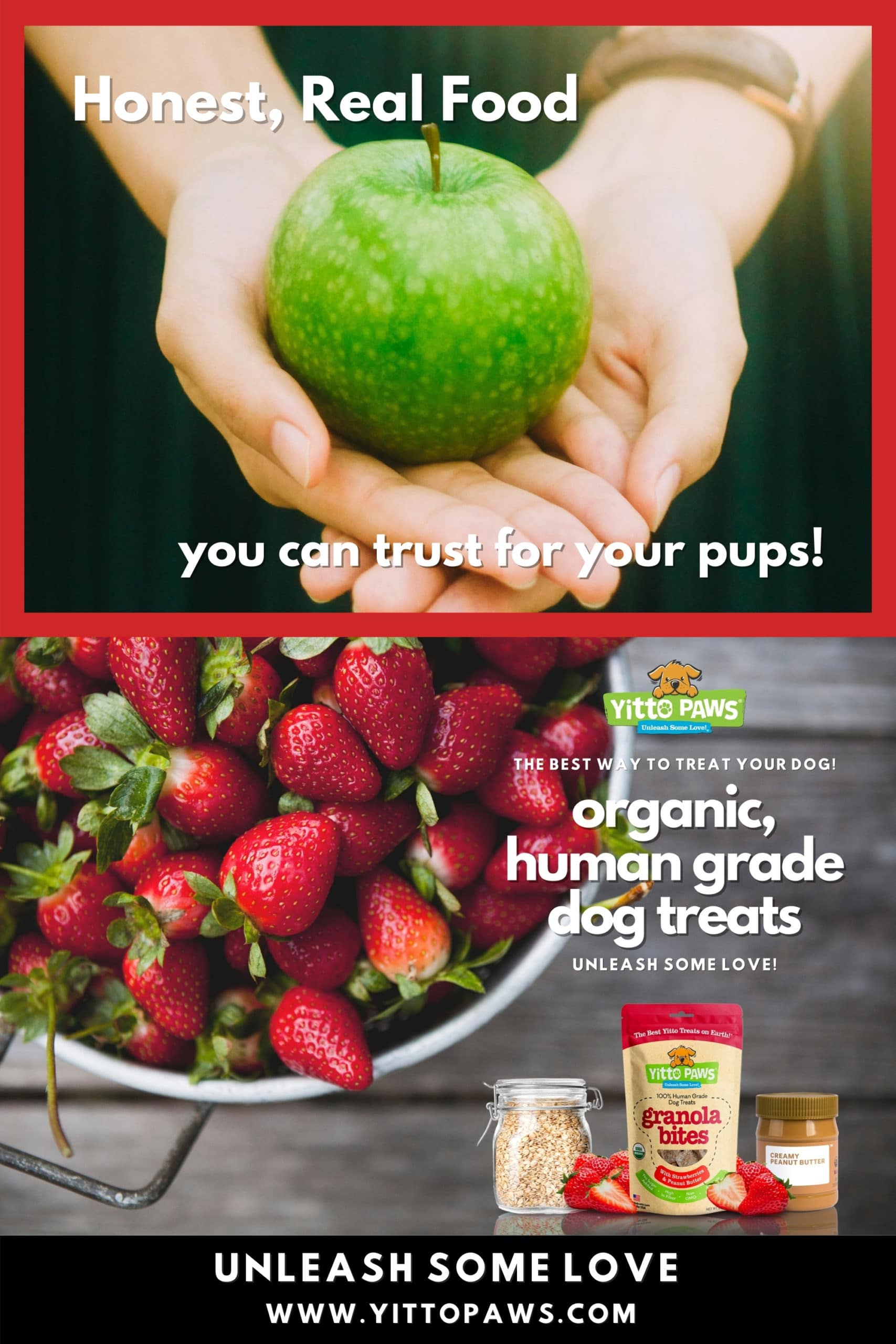 Your Dog deserves honest food you can trust
