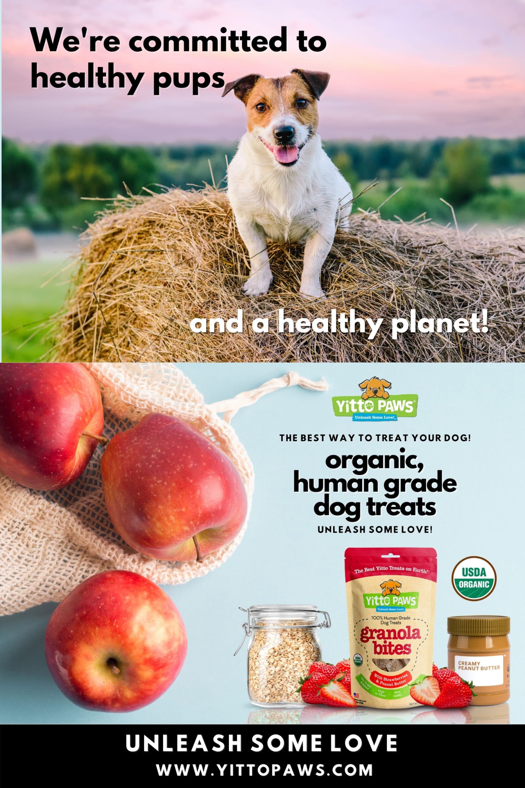 Supporting a Healthy Planet is central to all we do at Yitto Paws. We know our families and their dogs need a strong Mother Earth to thrive!