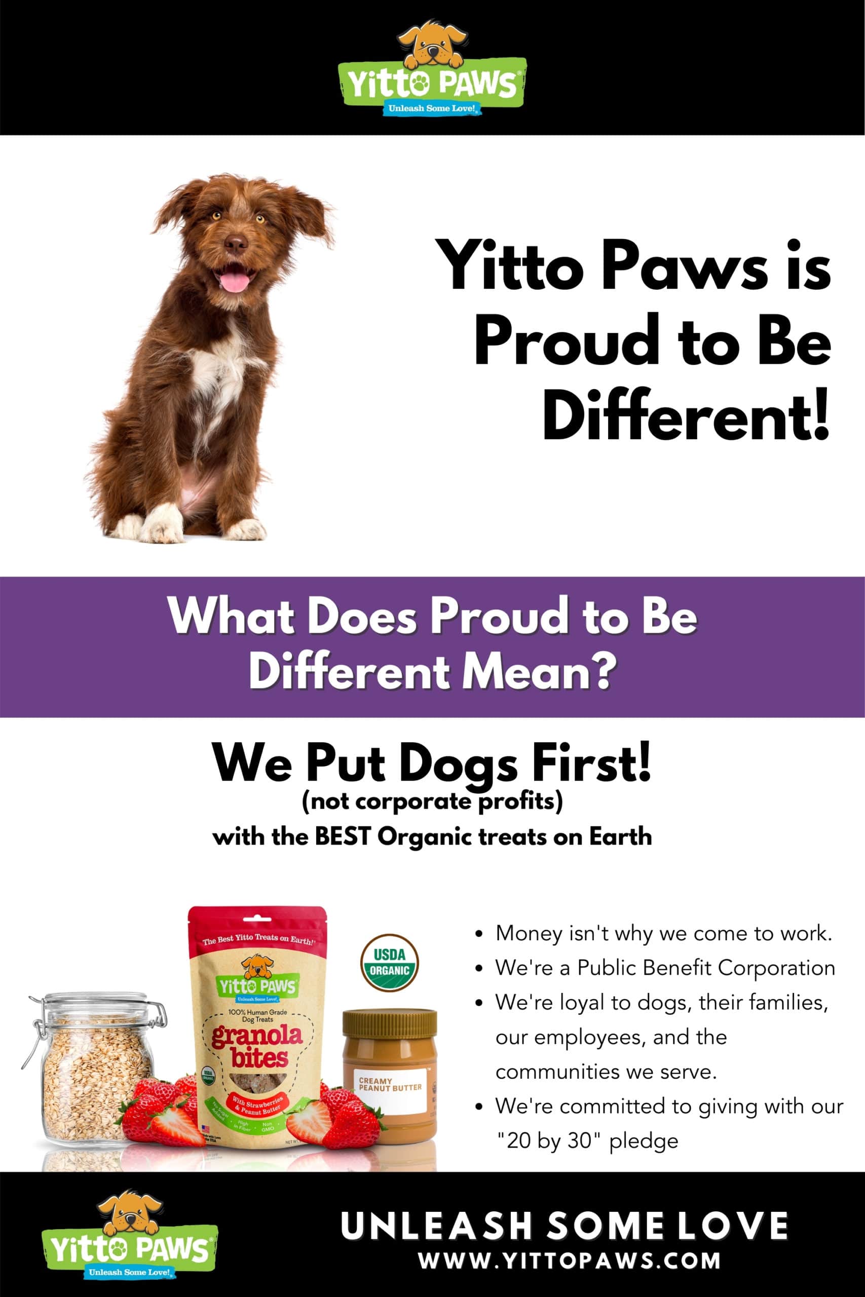 Yitto Paws is Proud to Be Different by Putting Dogs First with the best organic dog treats on earth!