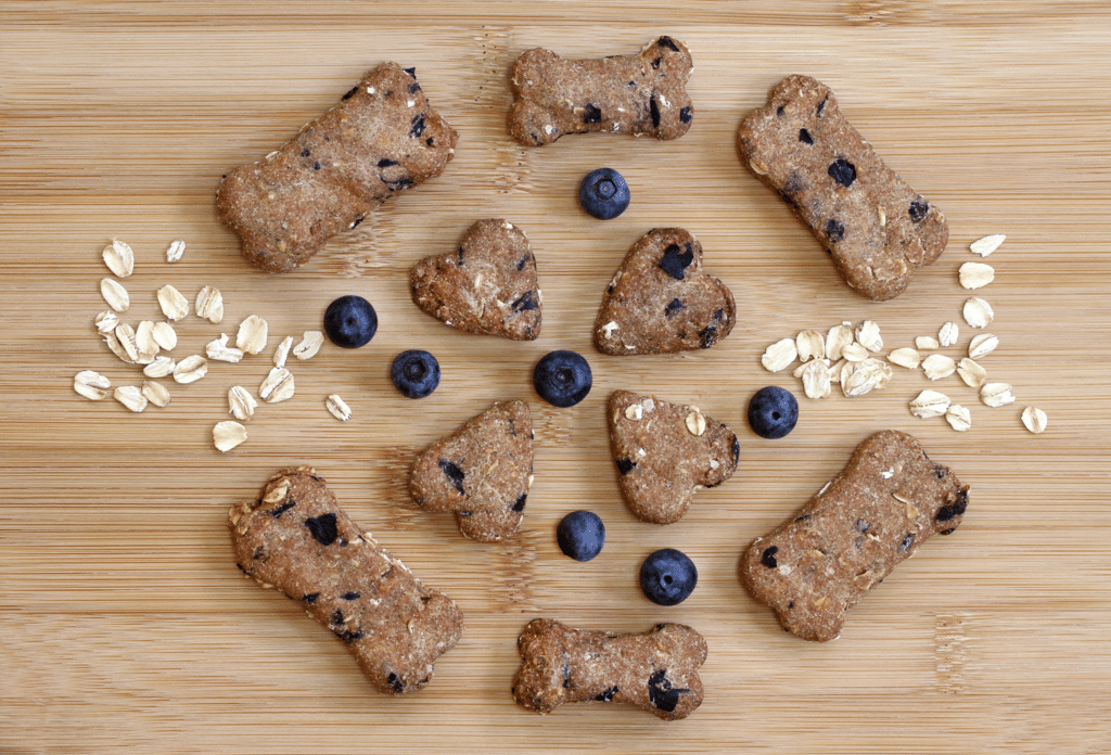 Can dogs eat blueberries? They're a core ingredient in Yitto Paws treats!
