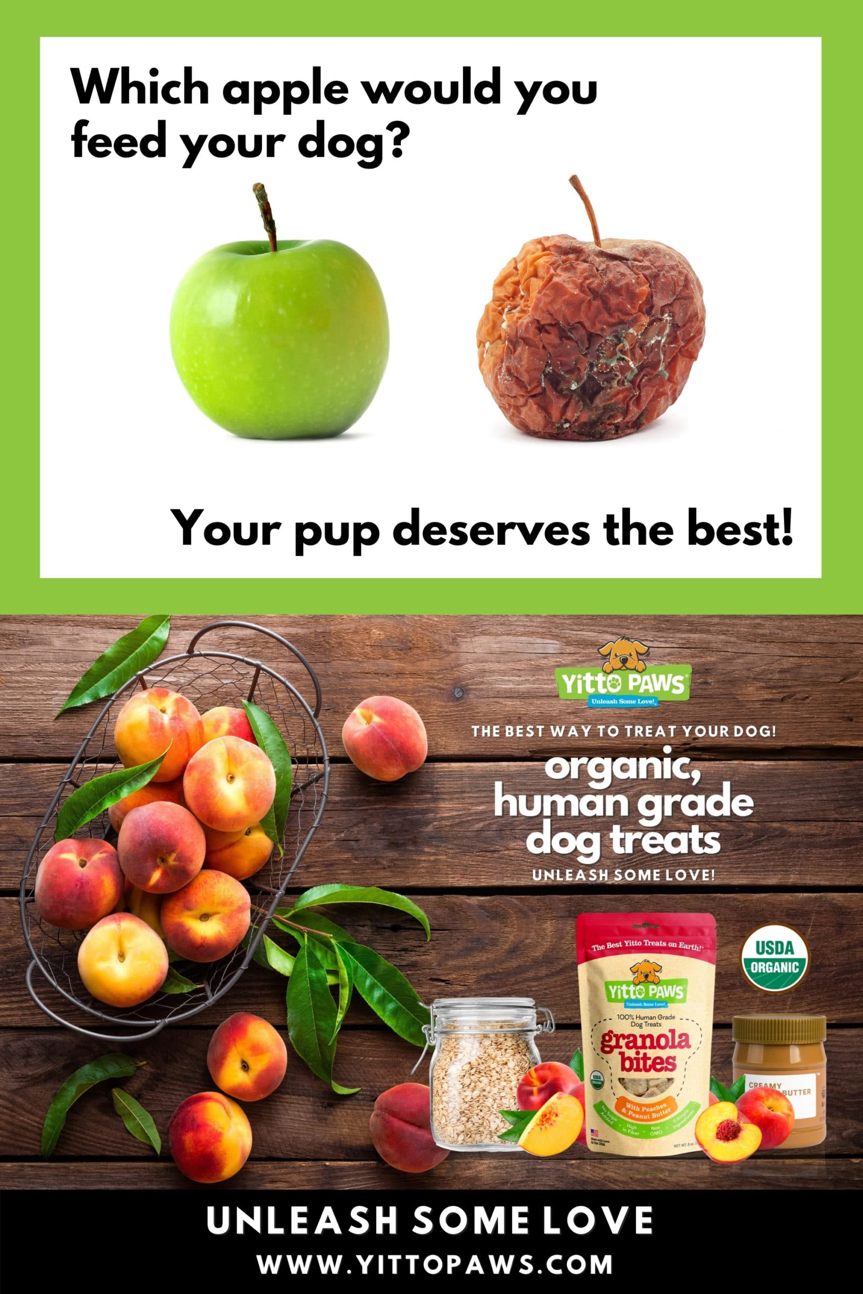 Yitto Paws Puts Dogs First by making 100% Human Grade Dog Treats!