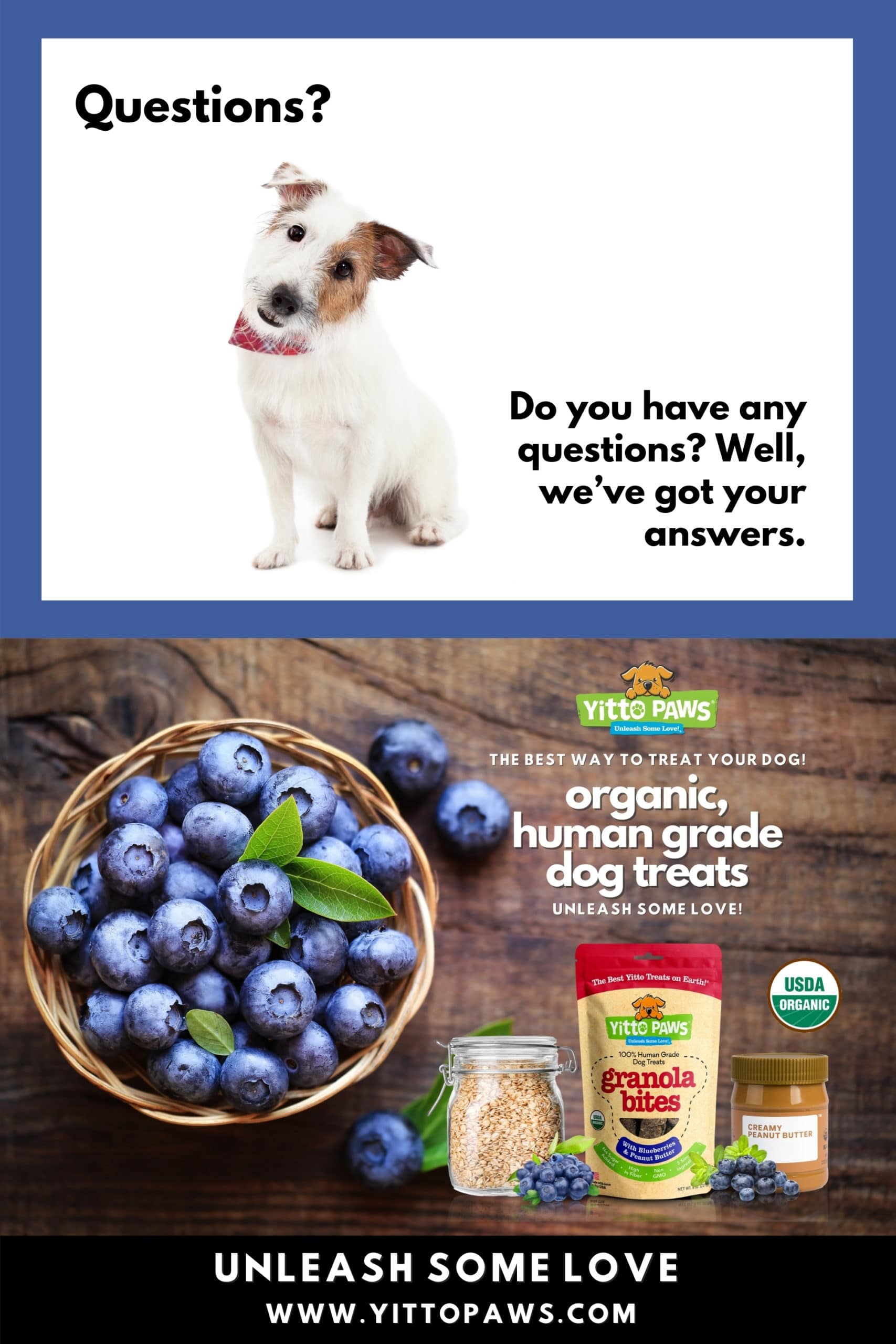 Do you have any questions about Yitto Paws? Well, we’ve got your answers.