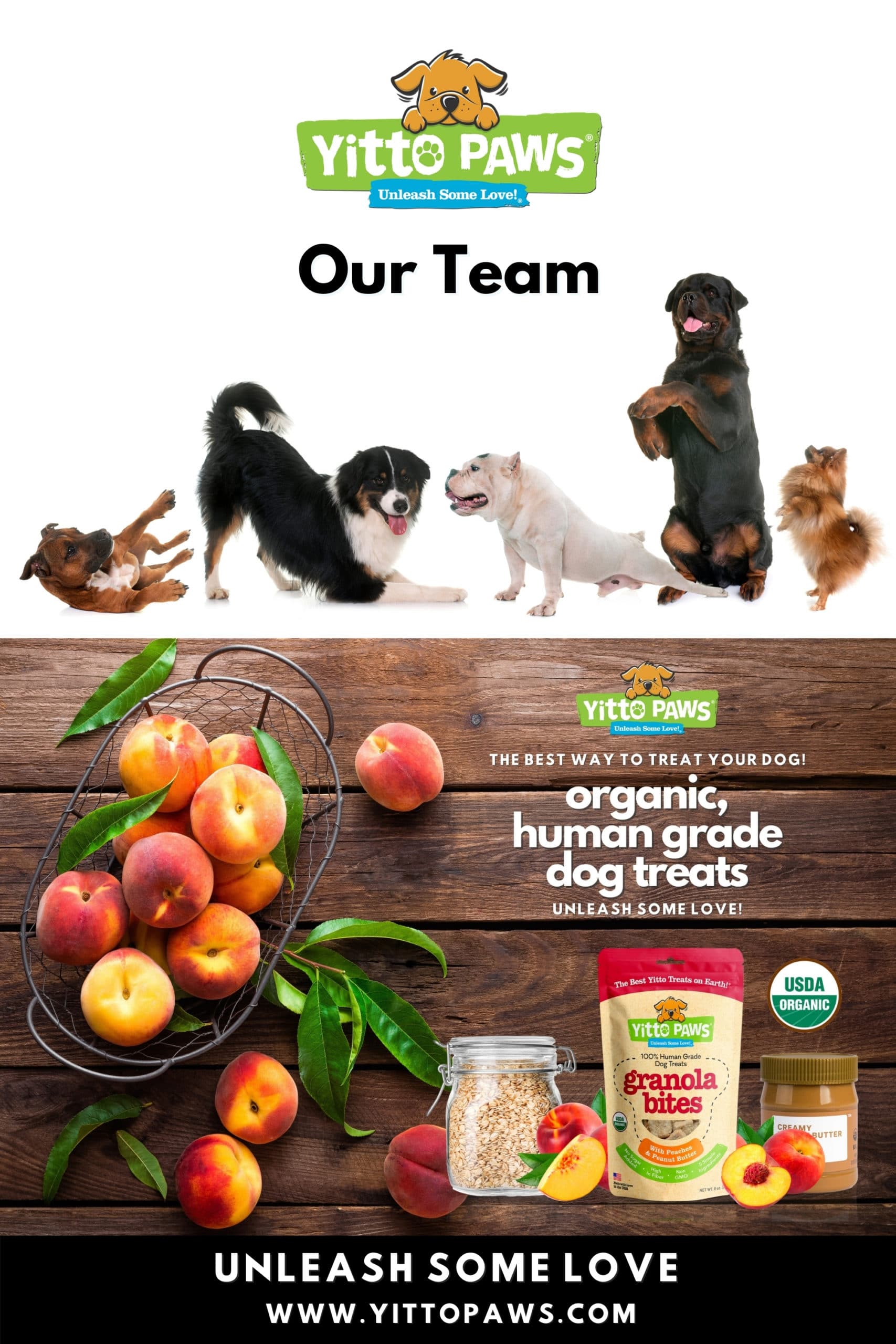 Our team is small but strong ... and we're ALL dedicated to Putting Dogs First by making Yitto Paws the Best Way to Treat Your Dog!